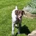 Darrell Overbeck - Facebook
