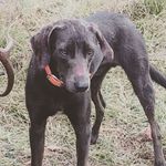 Darrell Park - @park.darrell - Instagram