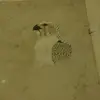 darrellpauldennis - @darrellpauldennis - TikTok