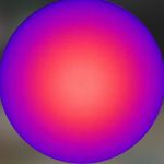 darryl payton 🐈‍⬛ - @iheartdarryl - Instagram