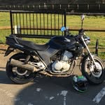 Darrell Peacock - @darrell_peacock - Instagram