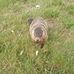 Darrell Pendley - Facebook