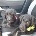 Darrell Perryman - Facebook