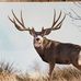 Darrell Peters - Facebook