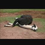 Darrell Peters - @darrellpeters5316 - Instagram