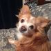 Darrell Philpott - Facebook