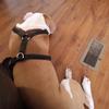 Darrell Phipps - @darrell.phipps - TikTok