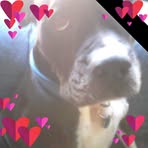 Darrell Phipps - Facebook
