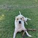 Darryl Phipps - Facebook