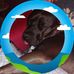 Darrel Poe - Facebook