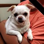Darrell Poe - @darrellpoe6 - Instagram