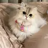 Darrelle Poe - @darrelle.poe - TikTok