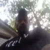 poecat - @darrellpoe8 - TikTok