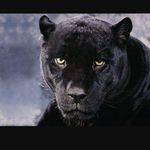 Darrell Polk - @guccipooh80 - Instagram