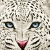 Darrell Posey - Facebook