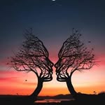 Darrellpostley - @darrellpostley61 - Instagram