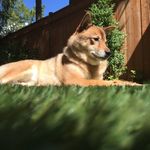 @darrellpotter - Instagram