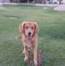 Darrell Powers - Facebook