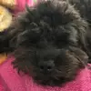 DarrellPowers - @audiezkvjp0 - TikTok
