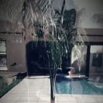 Tinotenda nyava - @darrell_prince49 - Instagram