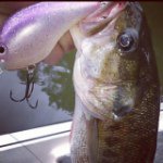 Darrell Proffitt - @drail_custombaits - Instagram