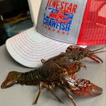 Darrell Proffitt - @lonestar_crawfish_co - Instagram