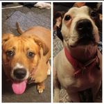 Darrell Pryor - @darrell.pryor.56 - Instagram
