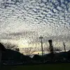 Darrell P - @d.p1618 - TikTok
