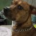 Darrell Raley - Facebook
