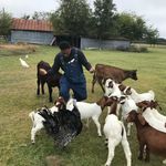 Darrell Robbins - @darrellrobbins18 - Instagram