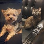@kevinanddarrellrollins - Instagram