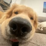 Ryan Darrell - @ryan_darrell_ - Instagram