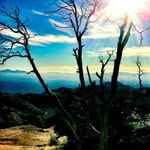 Darrell Sawyer - @darrell_sawyer - Instagram