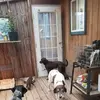 darrellschneider58 - @darrellschneider58 - TikTok