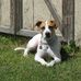 Darrell Schreiber - Facebook