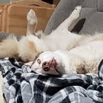 Darrell Schultz - @schultz_darrell - Instagram