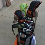 Darrell Schultz - @darrellt281 - Instagram