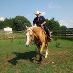 Darrell Shelton - @darrell.shelton.798 - Instagram