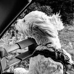 Darrell Shelton - @darrellshelton - Instagram