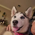 Darrell Shelton - @darrellshelton51 - Instagram