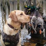 Darrell Shelton - @darrellshelton222 - Instagram