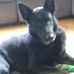 Darrell Stephens - Facebook