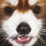 Darrellstratton - @darrellstratton9726 - Instagram