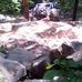 Darrell Sullivan - Facebook