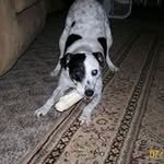 Darrell Sutton - @darrell.sutton.10f - Instagram