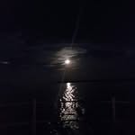 Darryl Sylvester - @darrylsylvester - Instagram