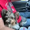 darrelltackett81 - @darrelltackett81 - TikTok
