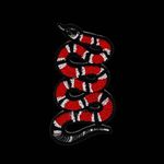 Darrell Tanner - @darrell.tanner.315 - Instagram