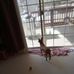 Darrell Tapley - Facebook