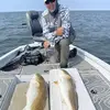 Darryl Thibodeaux - @darryl.thibodeaux - TikTok